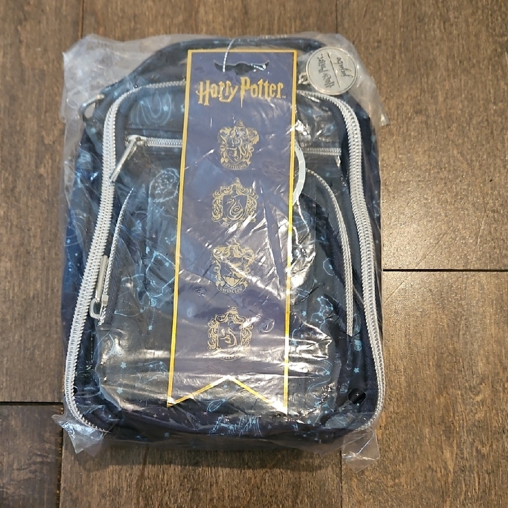 Warner Bros. Blue Backpack